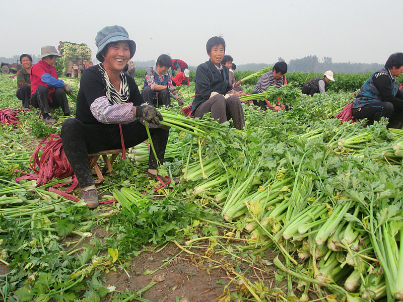 �۲˻��ط���æ